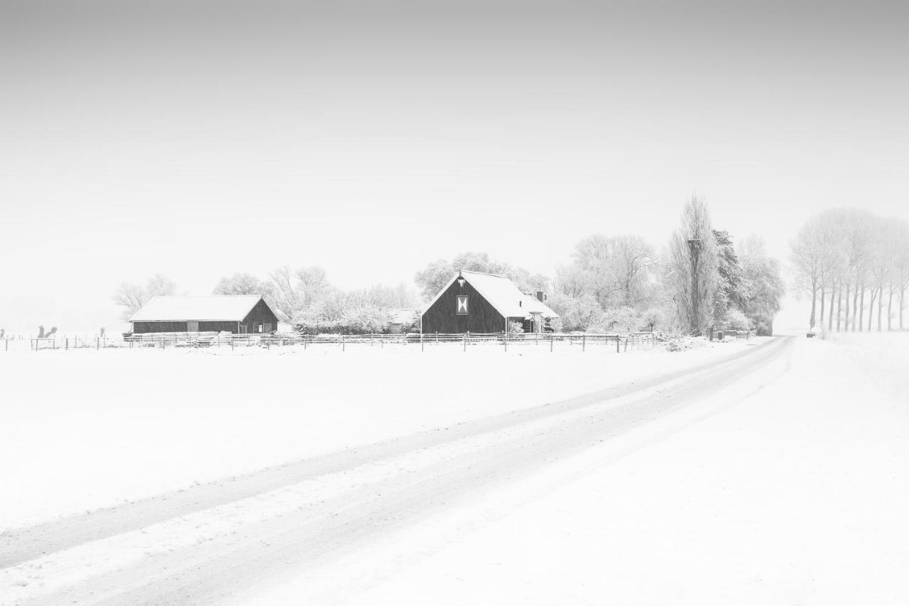 Het Zoete Peerd Bed and Breakfast Groede Eksteriør billede