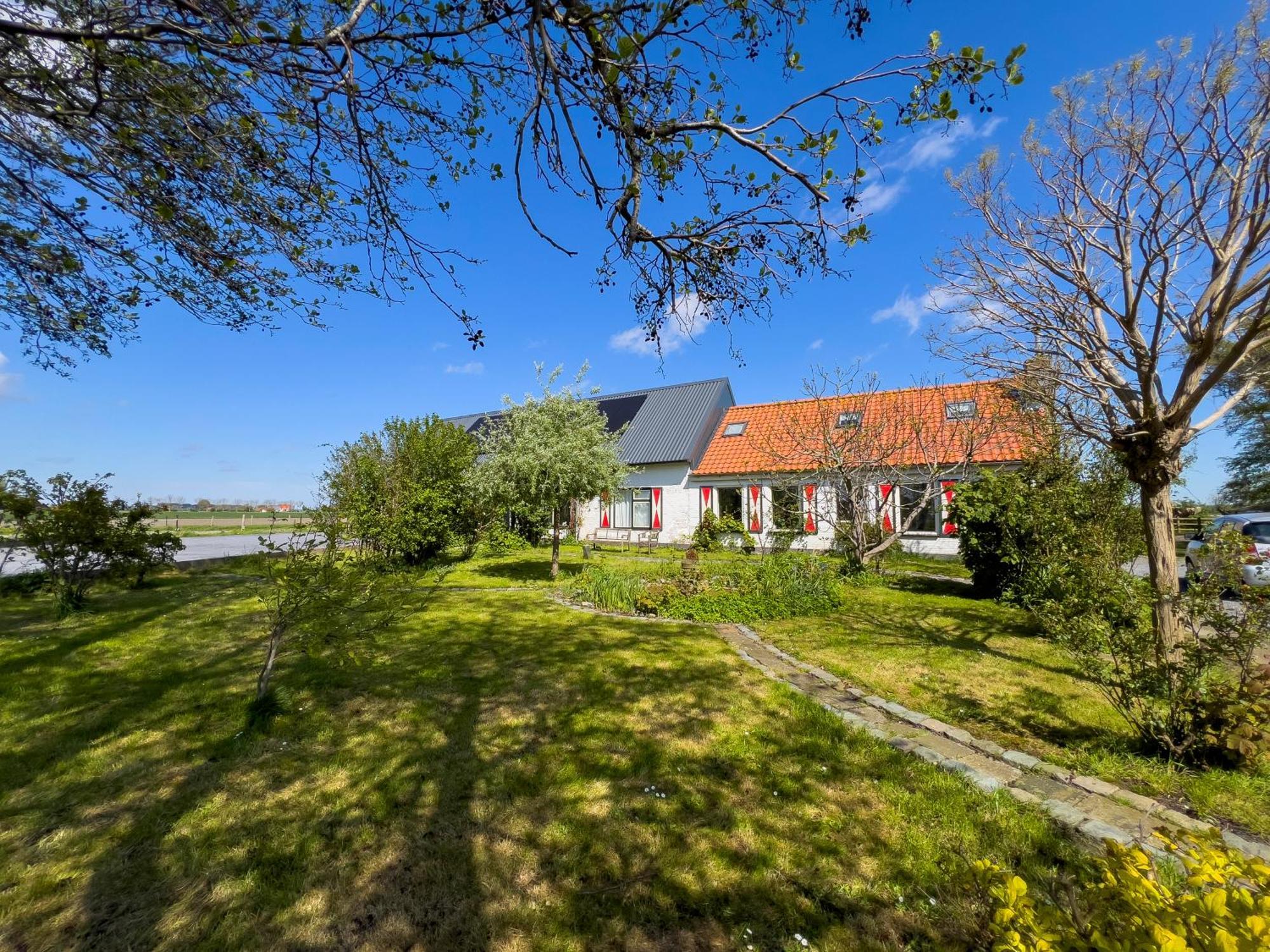 Het Zoete Peerd Bed and Breakfast Groede Eksteriør billede