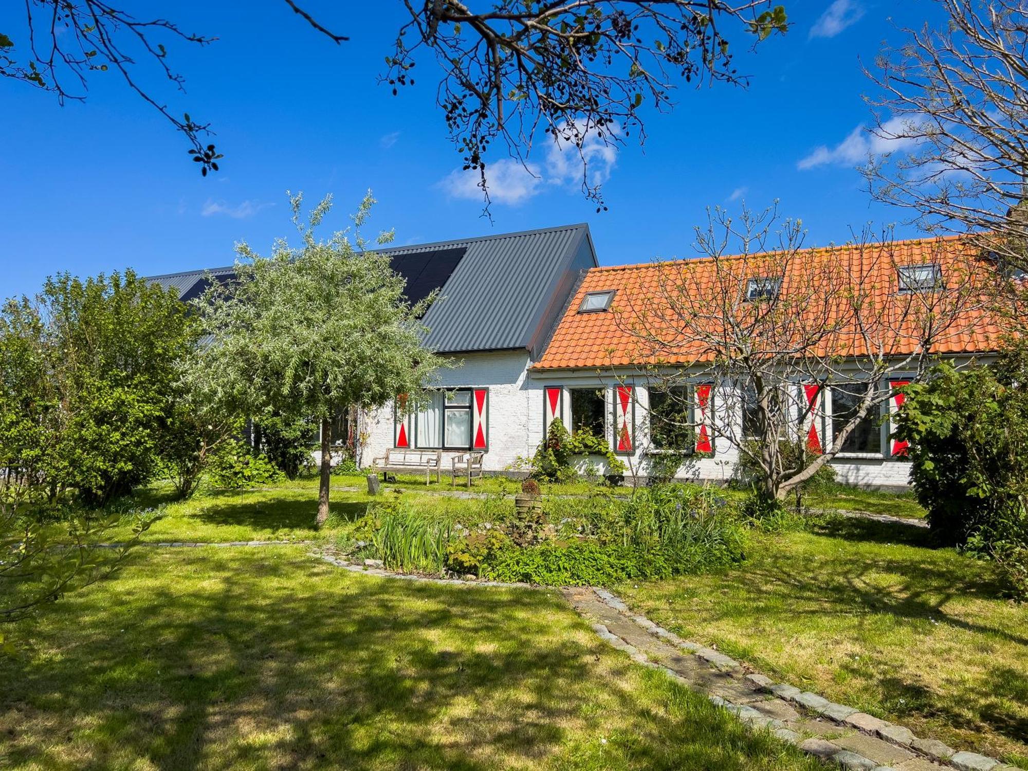 Het Zoete Peerd Bed and Breakfast Groede Eksteriør billede